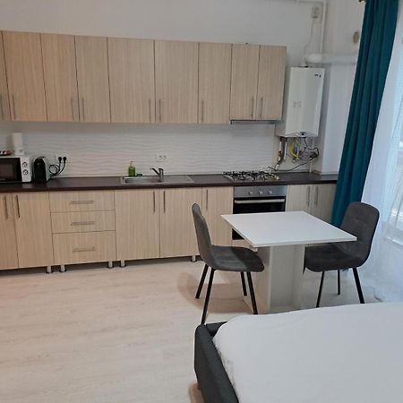 Visaj Residence Тимишоара Экстерьер фото